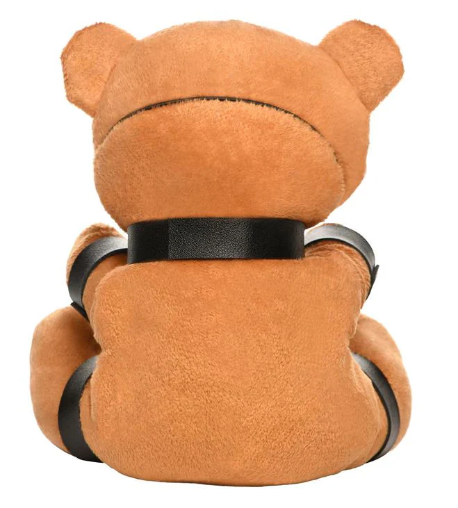 Master Series Gagged Teddy Plush Bear - Image 3
